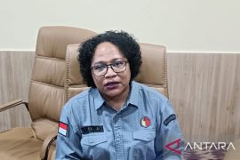 Bawaslu deklarasi pengawasan pilkada damai Papua