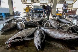 Surplus neraca perdagangan perikanan Indonesia