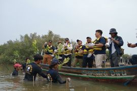 FishLog tanam 5.000 mangrove di Muara Gembong Bekasi lewat Catalytic Fund Program 2024