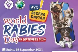 Pemkab Sinjai melakukan pemeriksaan kesehatan hewan gratis cegah rabies