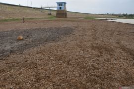 Waduk Dawuhan Madiun mengering