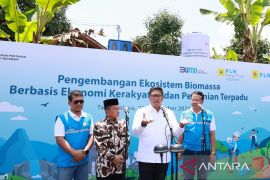 PLN kembangkan ekosistem biomassa berbasis pertanian terpadu