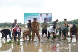 Pemkab bersama Kodim Bangkalan lakukan penanaman padi cegah krisis pangan