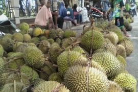 Durian RI kian diperhitungkan di kancah Internasional