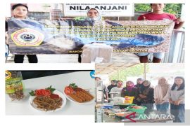 Tim ULM ajarkan olahan ikan patin tanpa limbah