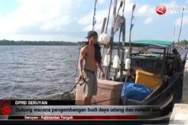 DPRD Dukung pengembangan budi daya udang dan rumput laut Seruyan