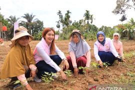 Srikandi Movement PLN dukung Kelompok Wanita Tani Luwa Pulau di Kampar