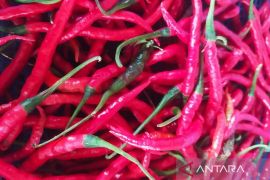 Kondisi ini penyebab inflasi merendah di Kota Pematangsiantar