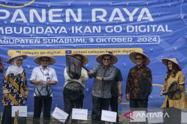 Wamen Kominfo tinjau pembudidaya ikan go digital