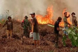Warga HSU bantu Pemda tangani Karhutla