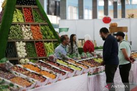 Kebiasaan-kebiasaan yang bisa membuat usus lebih cepat menua