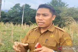 Dispar Bone Bolango memprioritaskan pengembangan wisata Benteng Ulanta