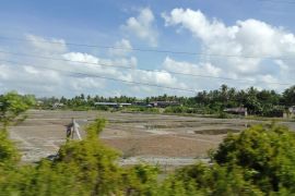 Dampak kekeringan di Maros meluas hingga tujuh kecamatan