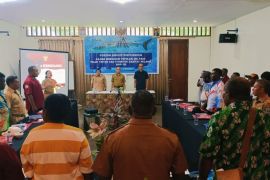 Pemkab Kaimana lakukan kajian bio-ekologi jaga populasi hiu paus