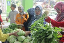 Faperta Unja adakan bazar hasil panen sayuran organik