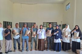 BSIP serahkan satu ton benih padi diseminasi kepada petani Mamuju