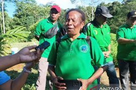 Ikhtiar perempuan Papua mewujudkan kampung ketahanan pangan