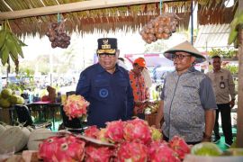 Pemprov Malut intensifkan gerakan menanam sayur