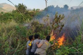 Kebakaran lahan di Taman Nasional Gunung Rinjani berhasil dipadamkan