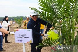 PTPN IV PalmCo targetkan 2,1 juta bibit unggul diserap petani hingga 2024, begini strateginya
