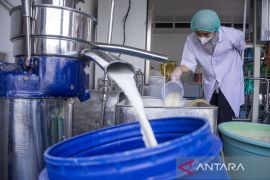 Produksi keju mozarella artisan di Lembang
