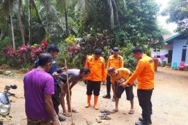 Lansia hilang di perkebunan kelapa sawit Konut