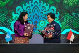 Indonesia, UNEP establish cooperation in environment, forestry