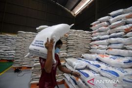 Babel pastikan stok beras cukup jelang pilkada&nbsp;