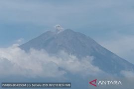 Gunung Semeru di Jawa Timur erupsi tujuh kali