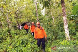 SAR temukan jasad wanita tua pencari cengkih yang hilang di  Hitu