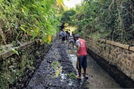 Banyuwangi libatkan 2.400 warga prasejahtera pada Program Padat Karya