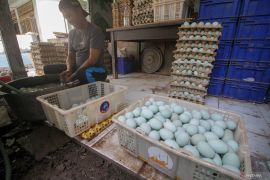 Inovasi telur bebek di Sidoarjo