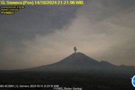 Gunung Semeru erupsi dengan letusan setinggi 900 meter
