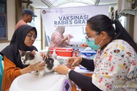 BKHIT Papua Barat Daya vaksinasi 156 hewan peliharaan cegah rabies