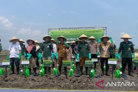 BI Banten tarik minat petani milenial lewat modernisasi pertanian
