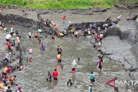 Pemkab Banyuwangi keruk sedimen di DAM persiapkan masa tanam