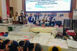 KKP mengapresiasi Polda Lampung ungkap selundupan bayi lobster
