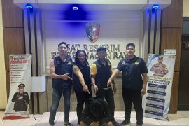 Polres Nagan Raya tangkap kurir gelapkan uang COD Rp14,8 juta