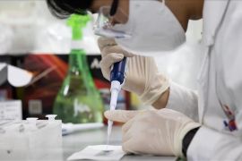 Wabah flu burung pertama sejak Desember ditemukan di Belanda