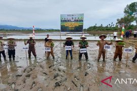 Begini cara Pj Bupati Sunawardi bantu petani sukseskan tanam padi serentak