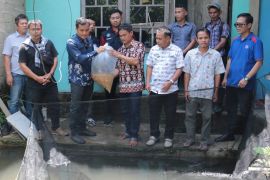 Dinas Perikanan Bengkayang Kalbar tingkatkan produksi perikanan budidaya