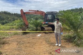 Kronologi penangkapan pembakar alat berat di Nagan Raya