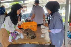 DKP Kota Tangerang buka pendaftaran vaksinasi rabies