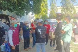 Pasien sembuh DBD di Polewali Mandar tercatat 86 orang