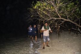 Akhir dari puncak peneluran penyu di Pulau Bando di Oktober