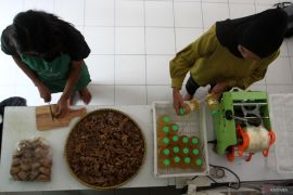 Produksi jamu tradisional kemasan di Malang