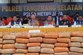 Polres Tangerang Selatan sita 642 kg ganja dari tiga kelompok pengedar