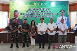 Kementan target cetak 125 ribu ha sawah baru di OKI Sumsel