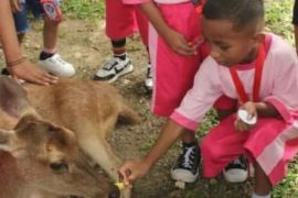 BKSDA Maluku kenalkan satwa dilindungi kepada anak usia  dini