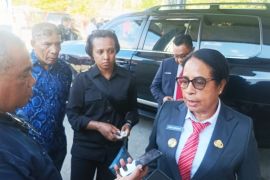 Pemkab Biak bentuk tim pengawas penyaluran BBM bersubsidi